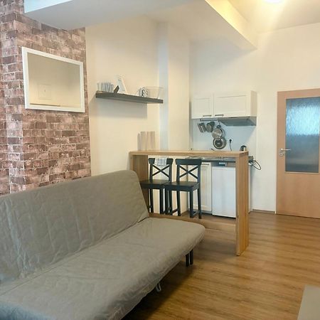 Zizkov Cosy Studio Apartments Praga Esterno foto